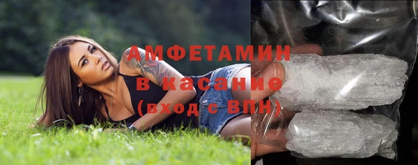 прущие грибы Дмитров