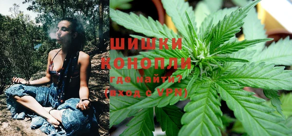 прущие грибы Дмитров