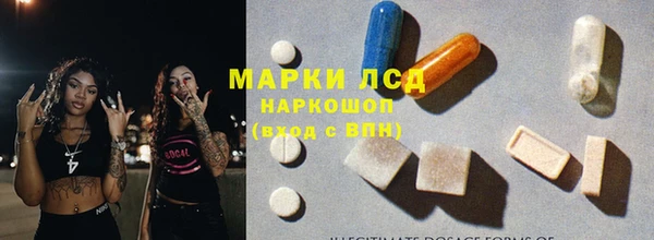 прущие грибы Дмитров