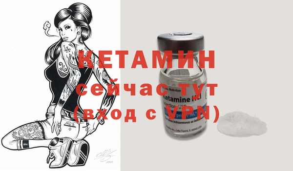 прущие грибы Дмитров