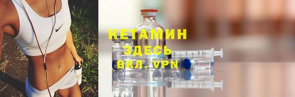 прущие грибы Дмитров