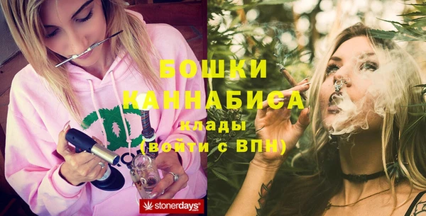 прущие грибы Дмитров