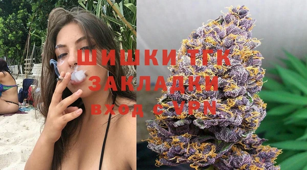 прущие грибы Дмитров