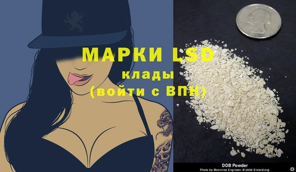 прущие грибы Дмитров